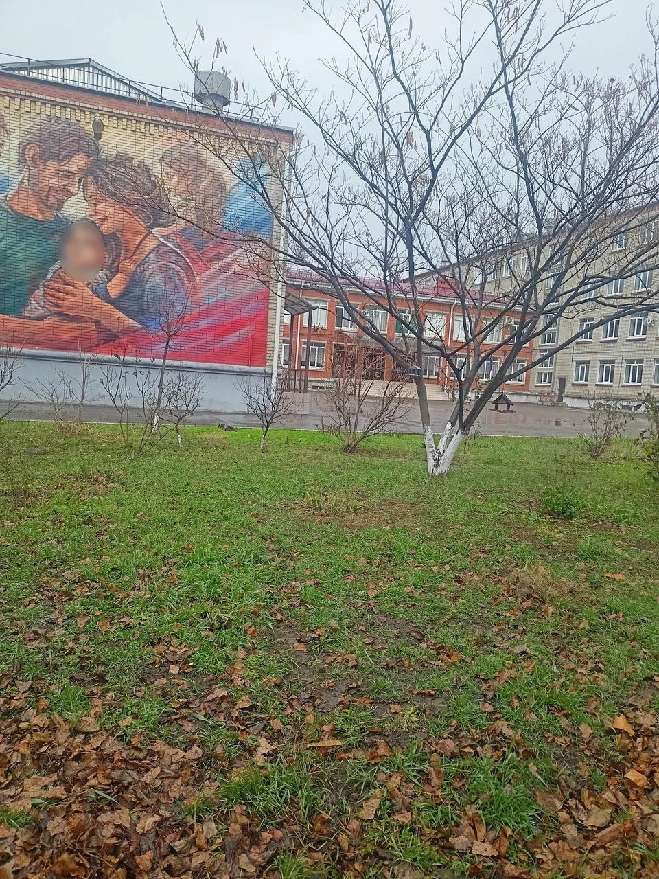 Фотография школы.